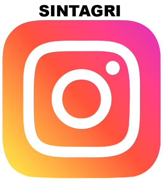 Instagram SINTAGRI